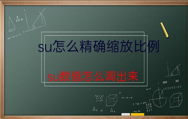 su怎么精确缩放比例 su数值怎么调出来？